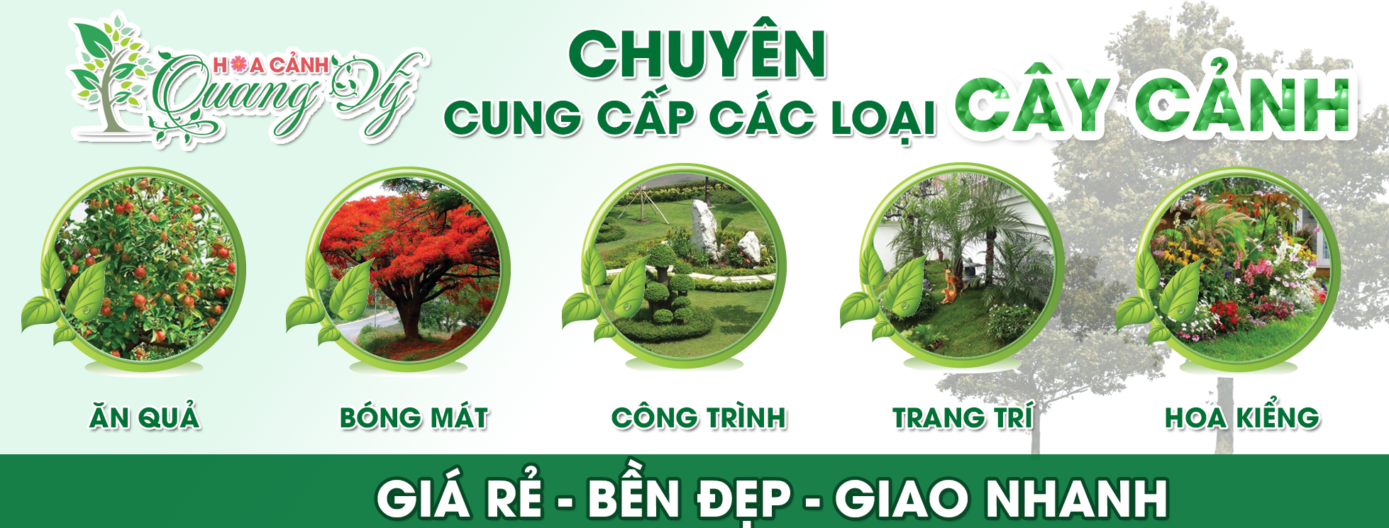 Hoa Cảnh Quang Vỹ - Chuyên Cung Cấp Cây Cảnh Đẹp ở Việt Nam