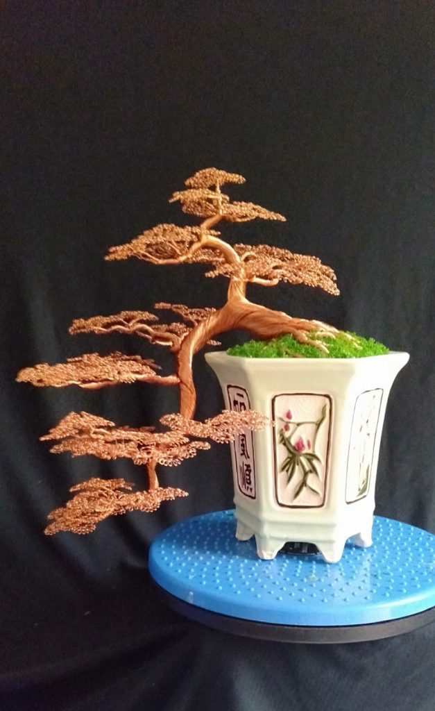 Cach-lam-bonsai-bang-day-dong-dang-thac-do